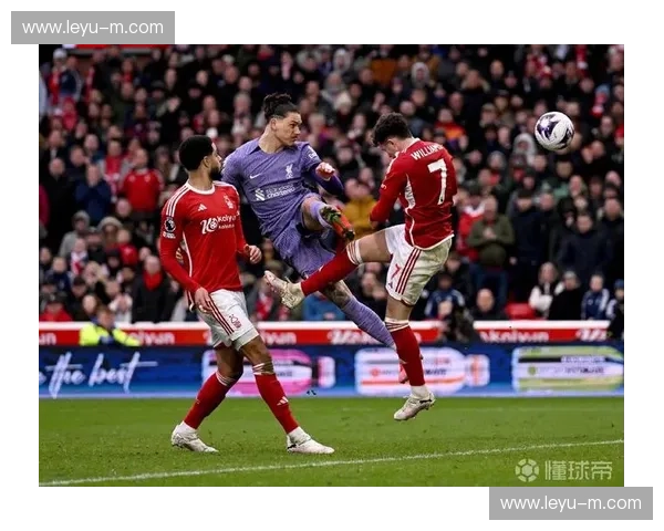 英足总就此前球迷冲突事件对两家俱乐部提出指控